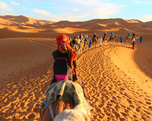 Le Sahara Tunisien